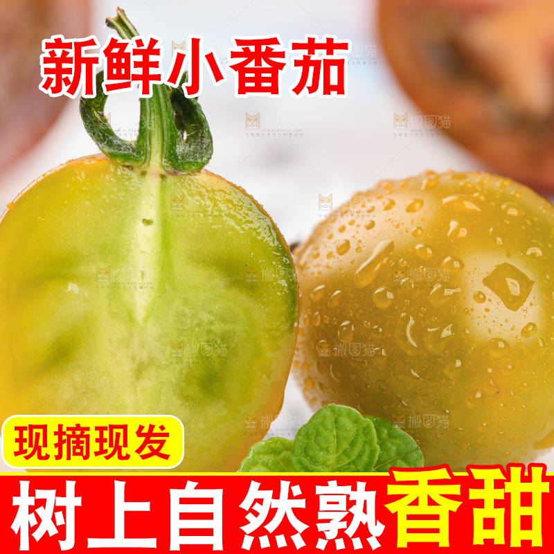 青口蜜小番茄