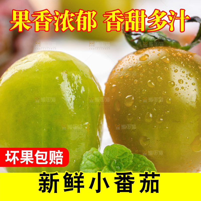 青口蜜小番茄