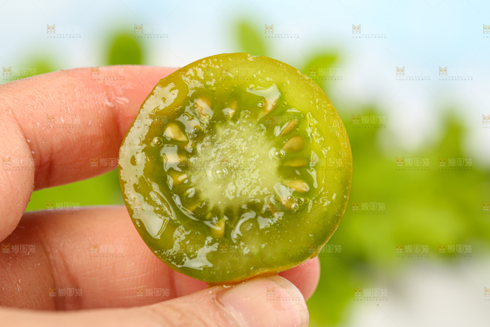 青口蜜小番茄