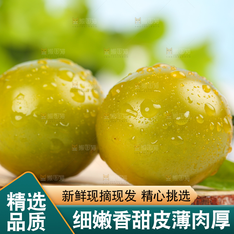 青口蜜小番茄