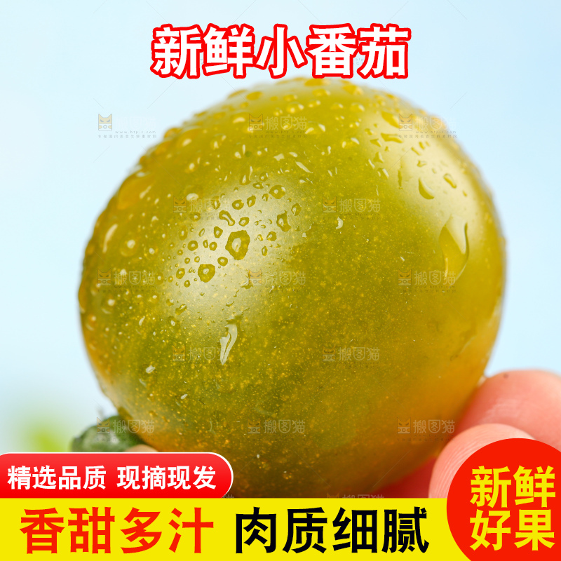 青口蜜小番茄