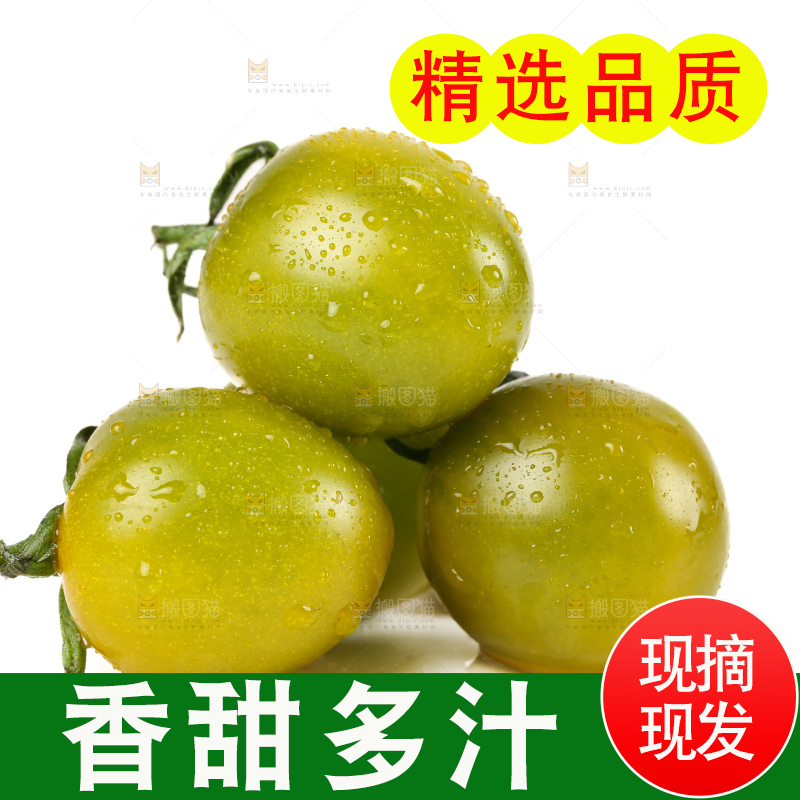 青口蜜小番茄