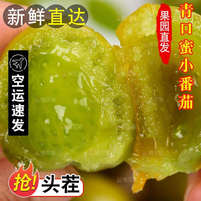 青口蜜小番茄