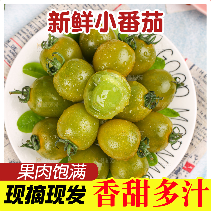 青口蜜小番茄