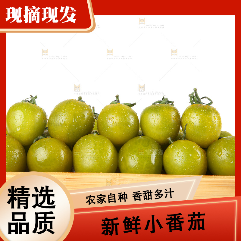青口蜜小番茄