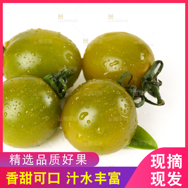 青口蜜小番茄