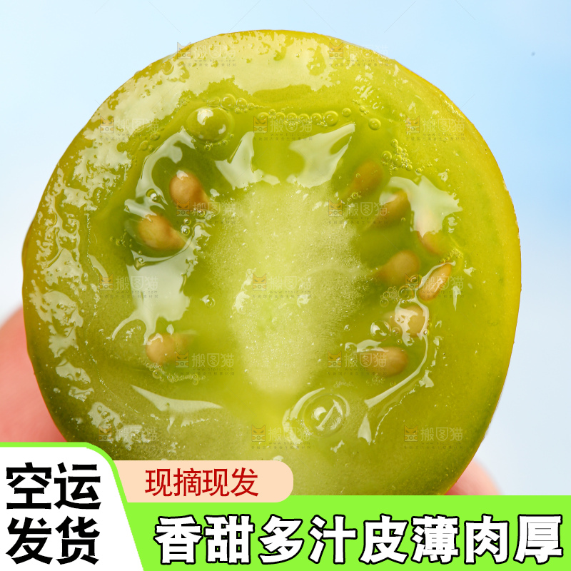 青口蜜小番茄
