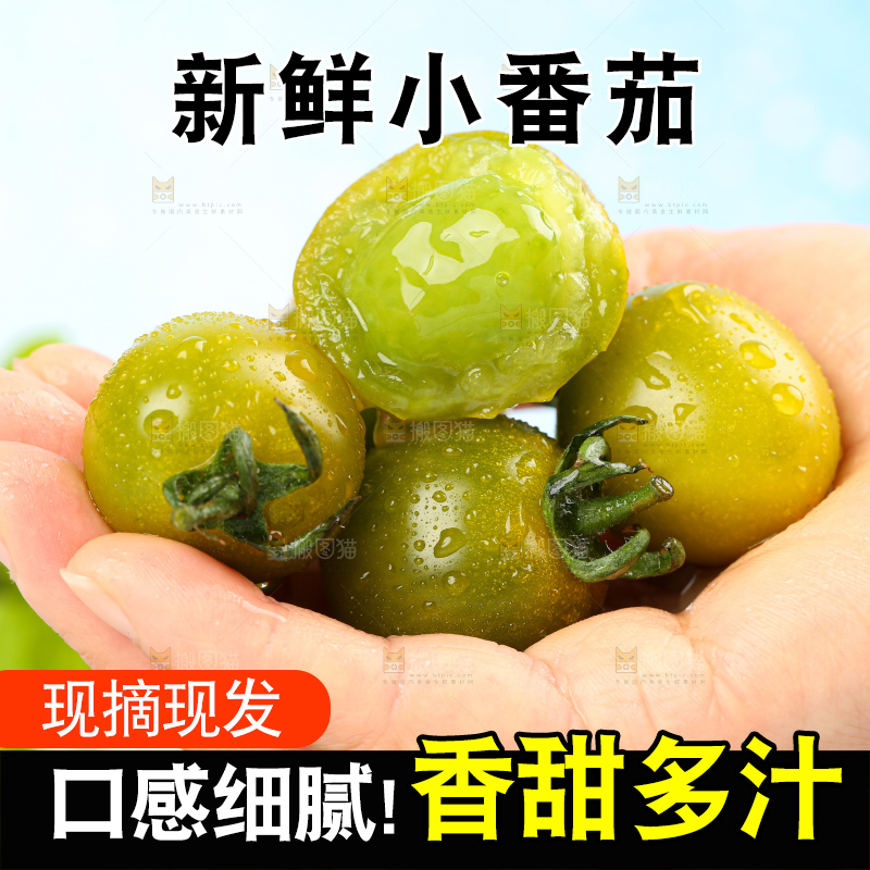 青口蜜小番茄