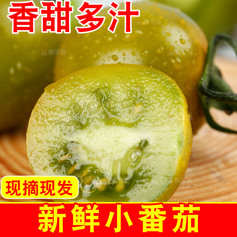 青口蜜小番茄