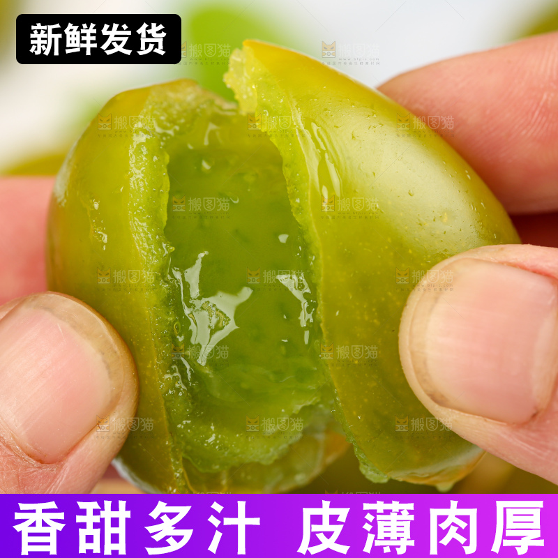 青口蜜小番茄