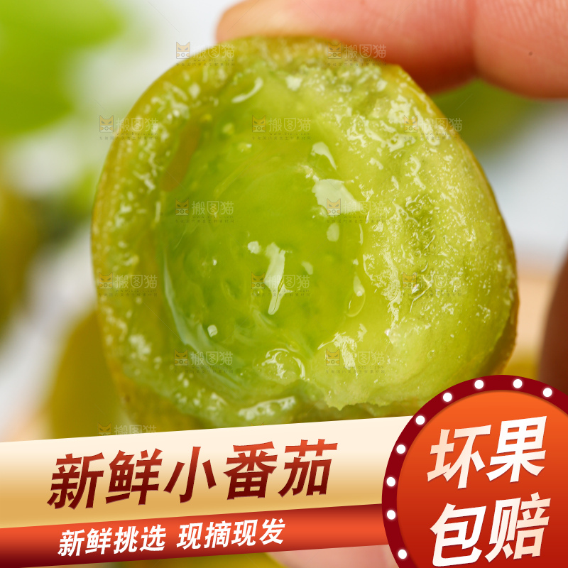 青口蜜小番茄