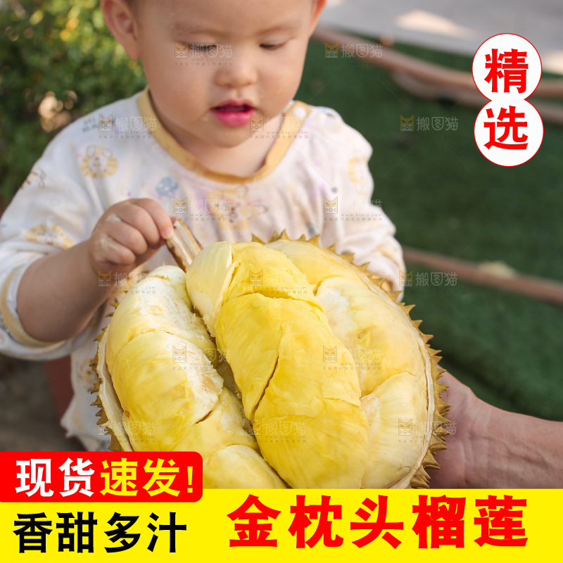 金枕榴莲