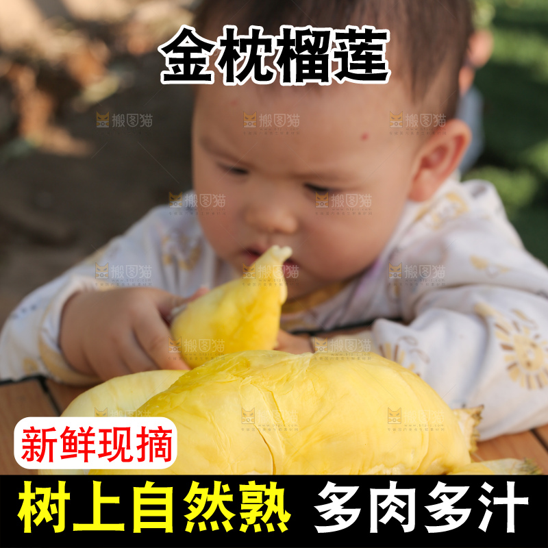 金枕榴莲