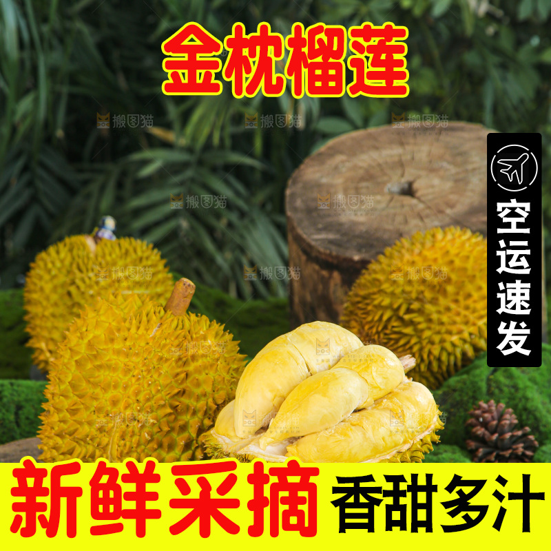 金枕榴莲