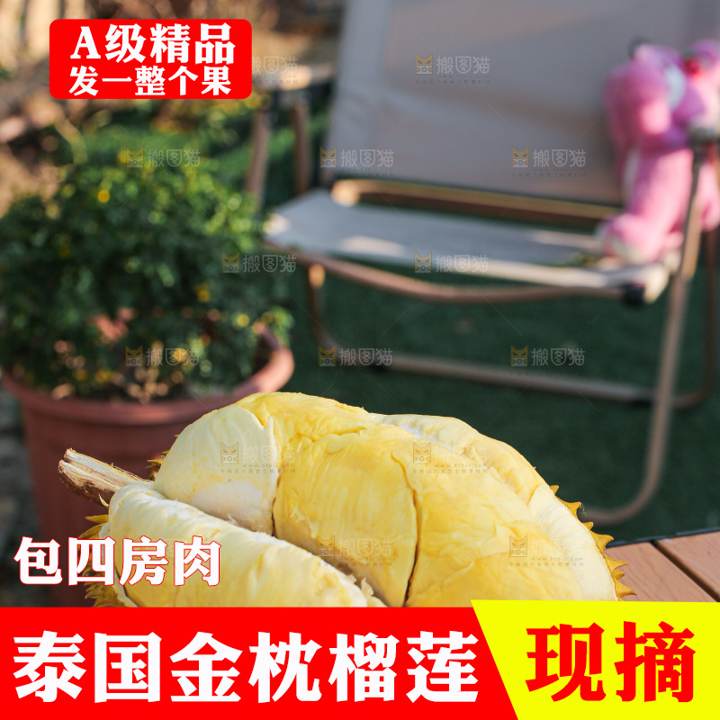 金枕榴莲