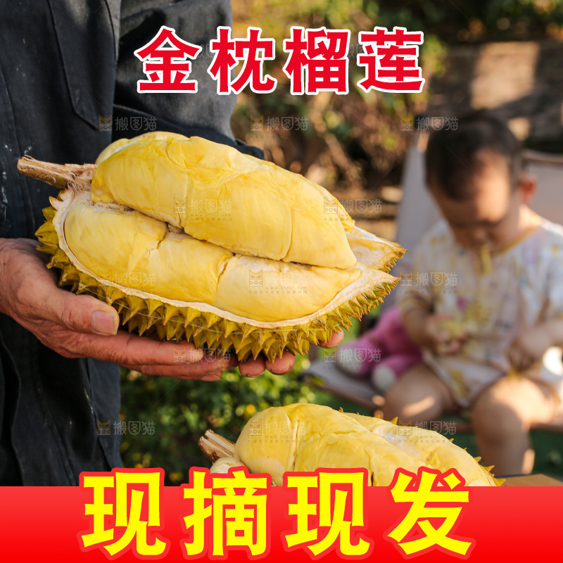 金枕榴莲