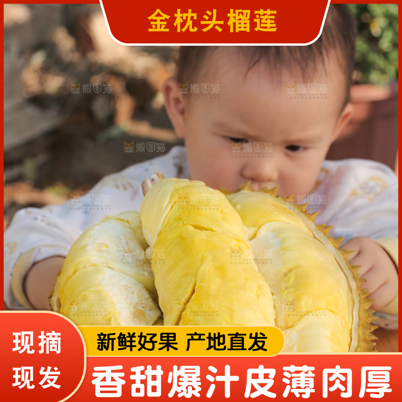 金枕榴莲