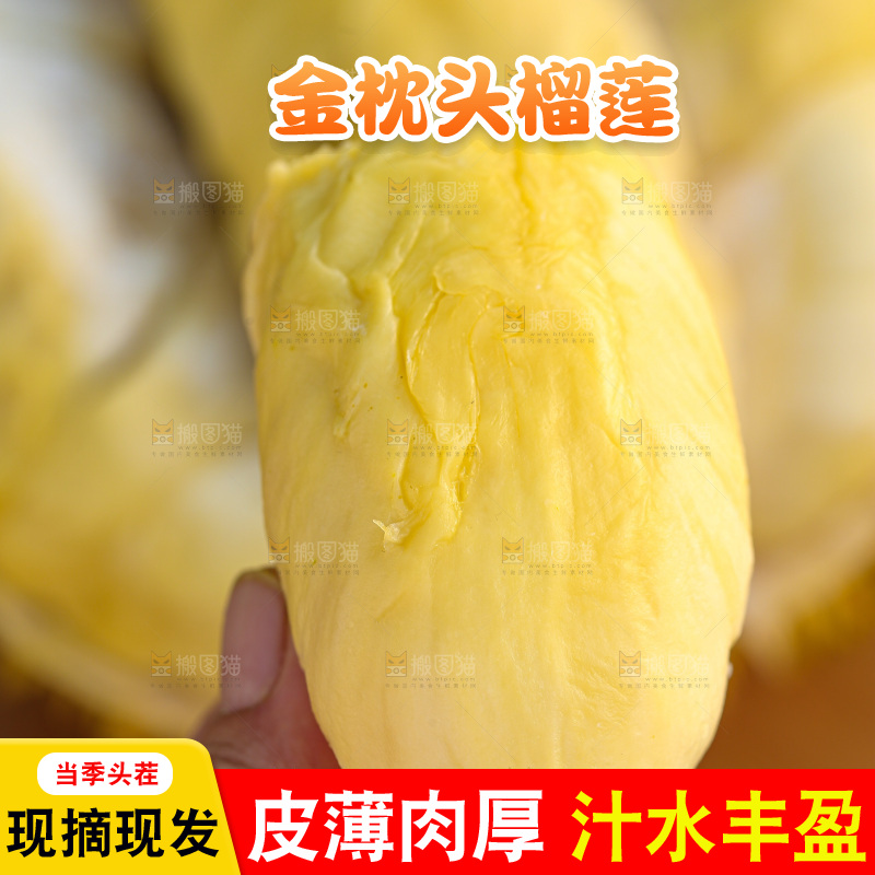 金枕榴莲