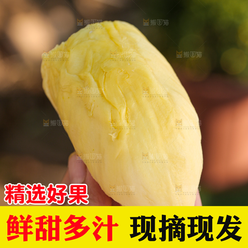 金枕榴莲