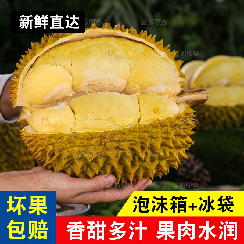 金枕榴莲