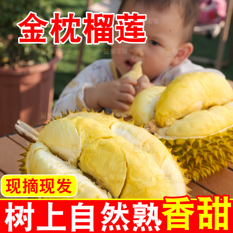 金枕榴莲