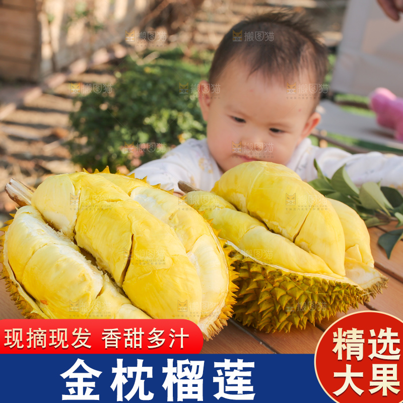金枕榴莲