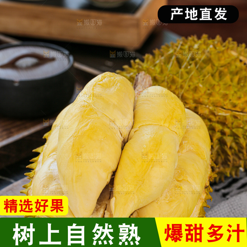 金枕榴莲