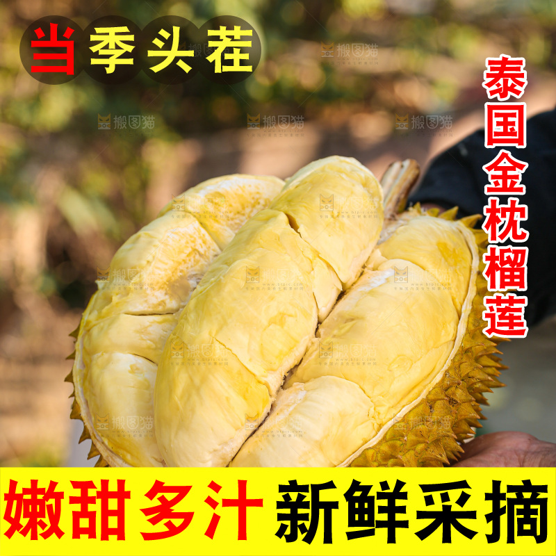 金枕榴莲
