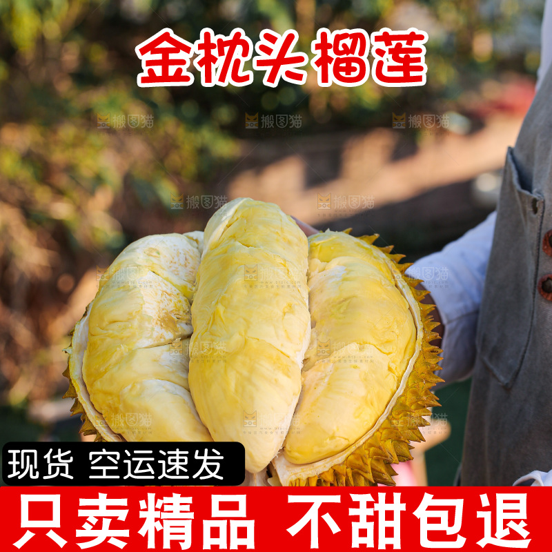 金枕榴莲