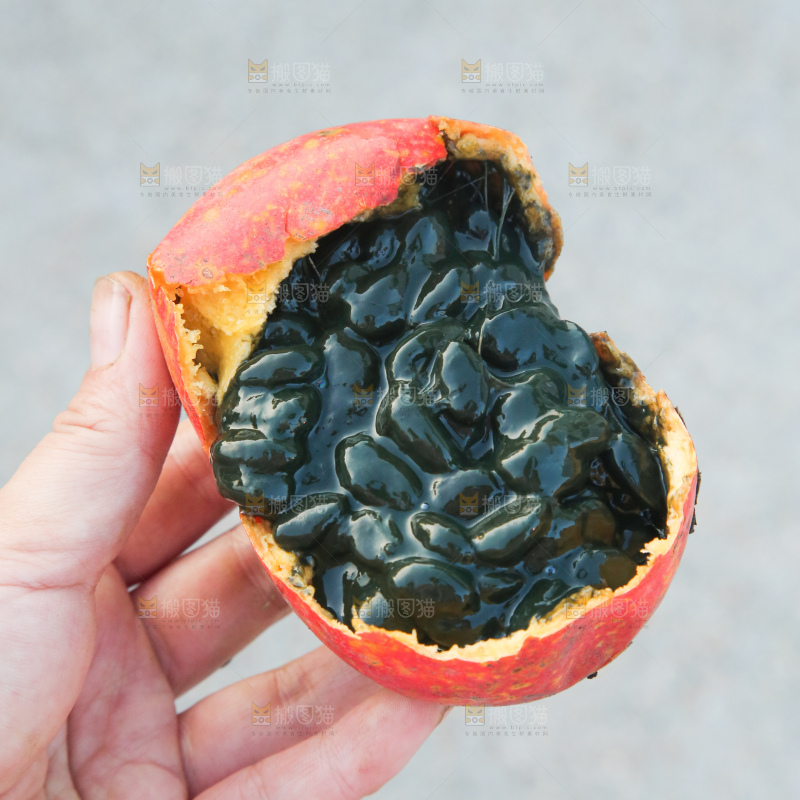 吊瓜子