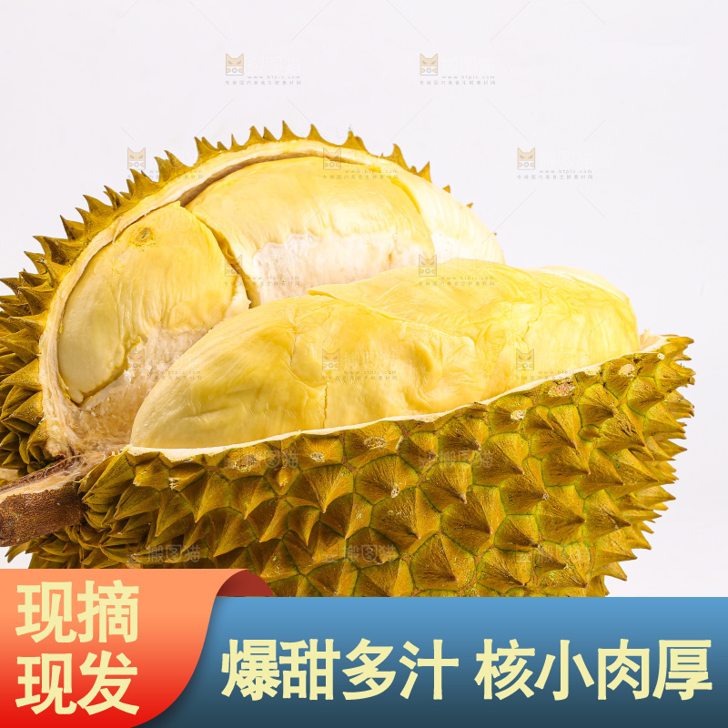 金枕榴莲