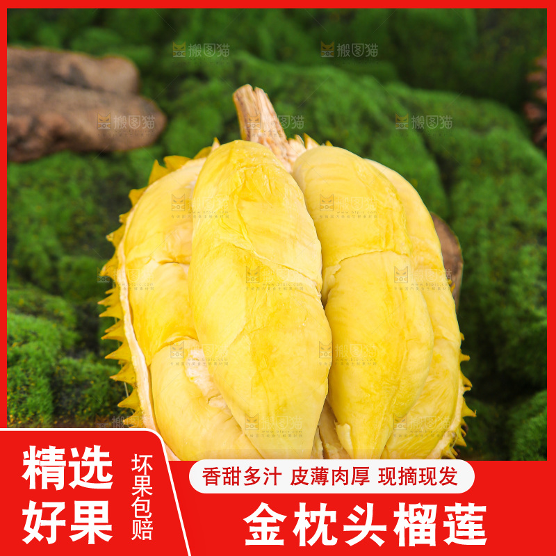 金枕榴莲