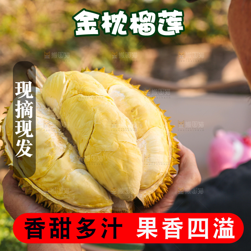金枕榴莲