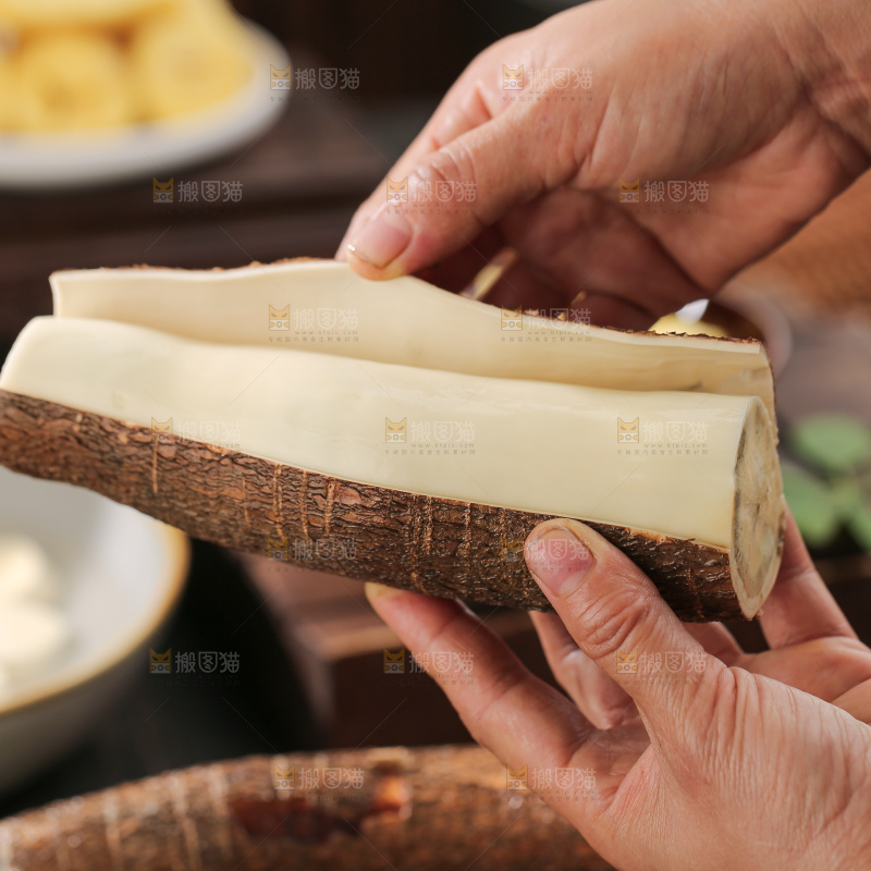 木薯
