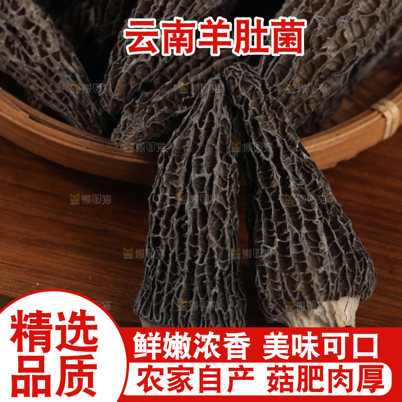 羊肚菌