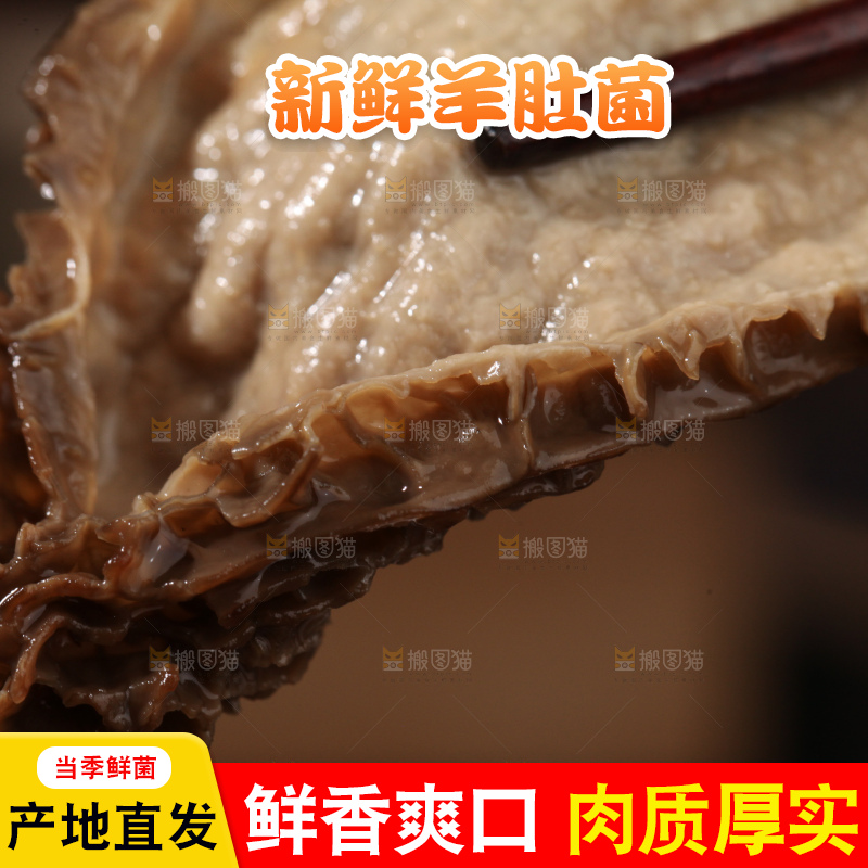 羊肚菌