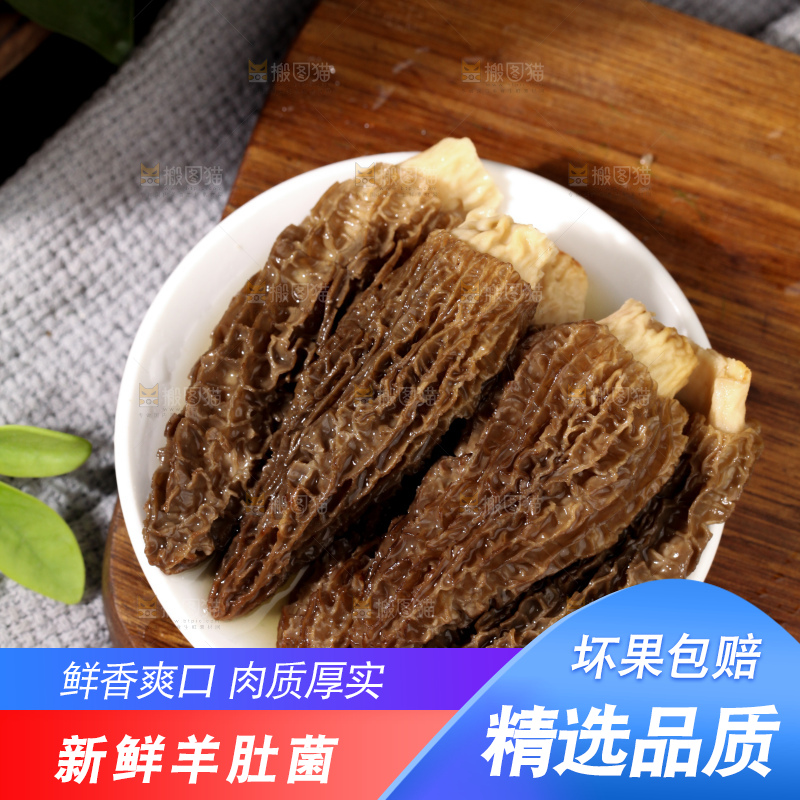羊肚菌