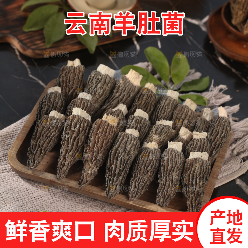 羊肚菌