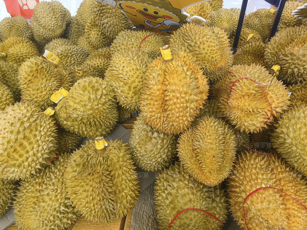 堆放着的金枕榴莲