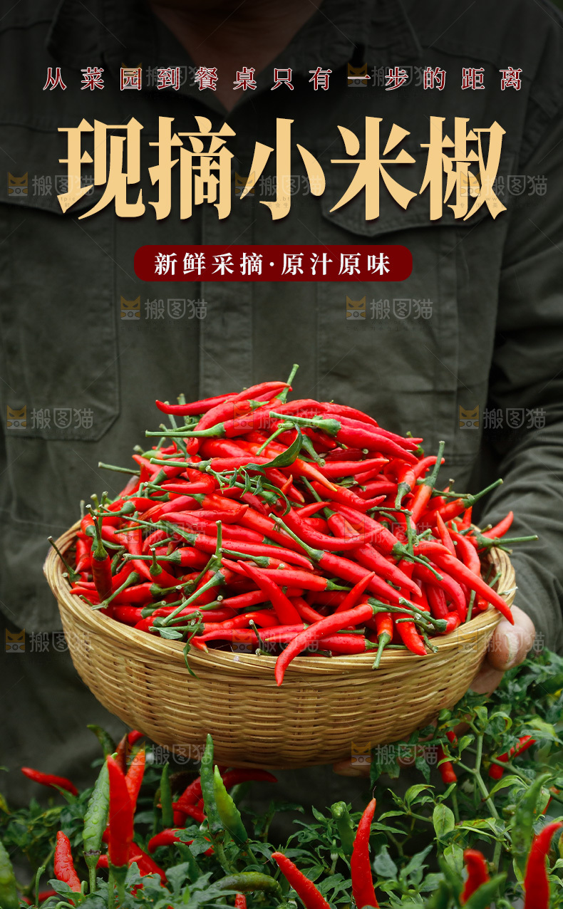 小米辣详情页