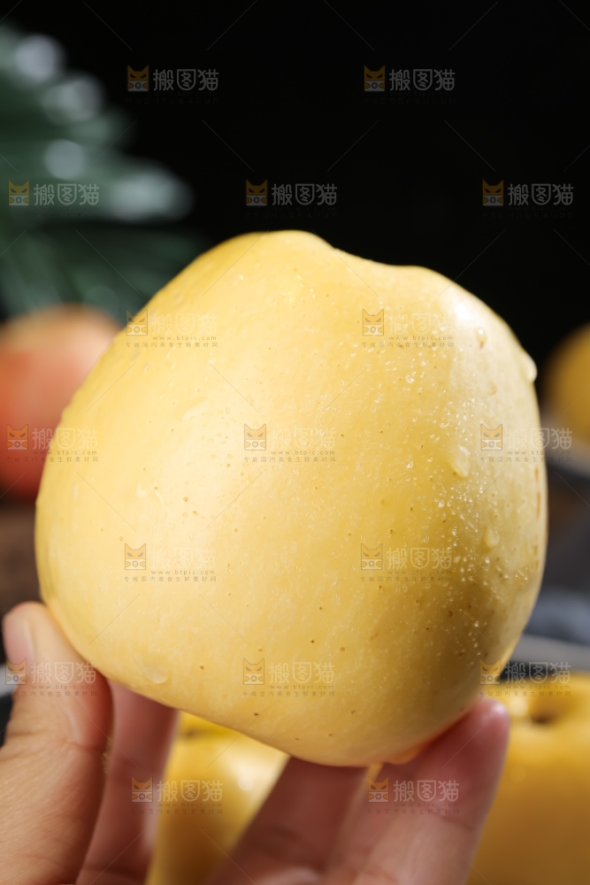 维纳斯苹果