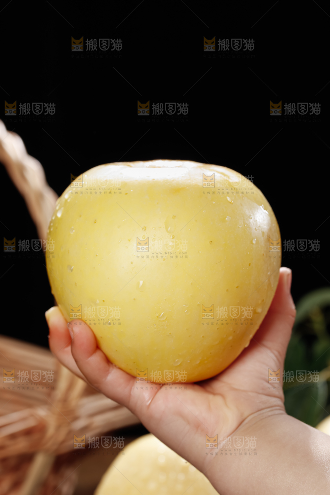 维纳斯苹果