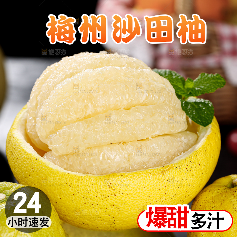 沙田柚