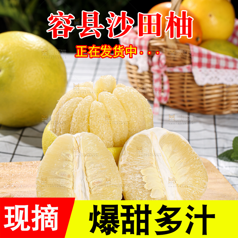 沙田柚