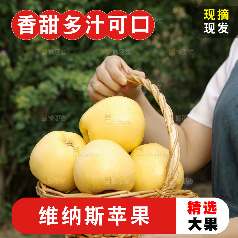 维纳斯苹果 