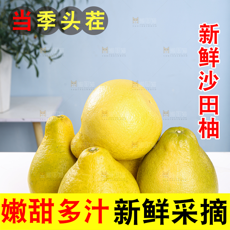 沙田柚