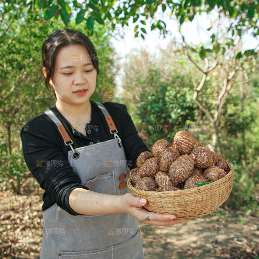 牛奶小芋头