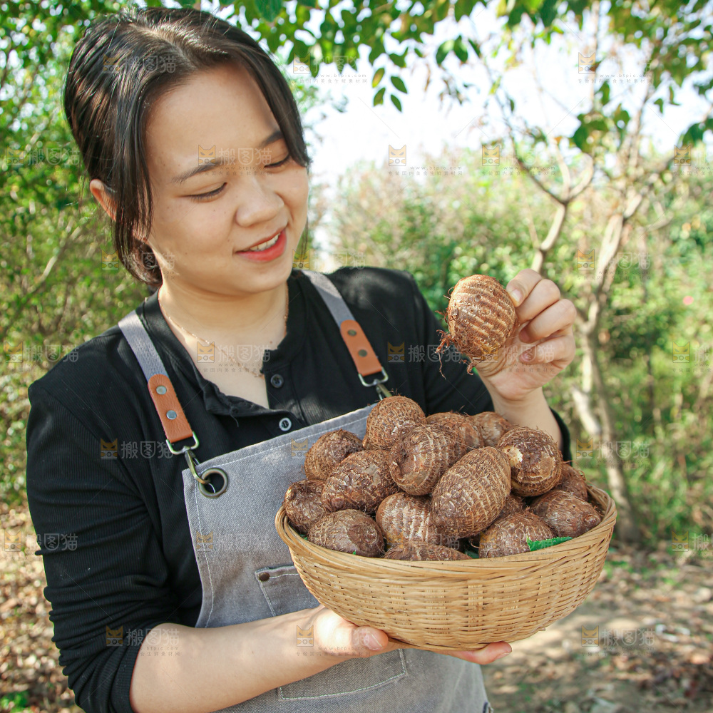 牛奶小芋头