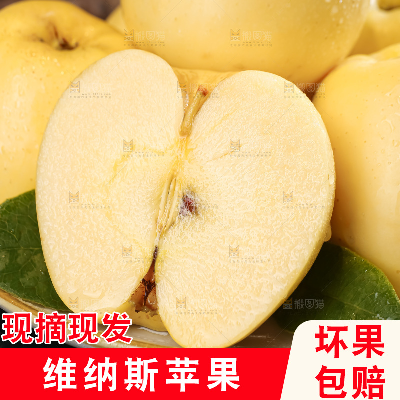 维纳斯苹果