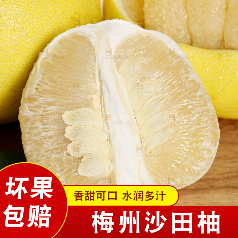 沙田柚